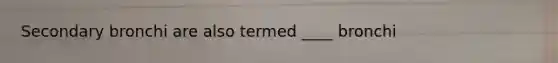 Secondary bronchi are also termed ____ bronchi