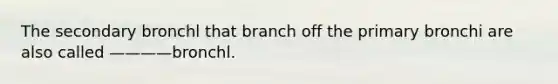 The secondary bronchl that branch off the primary bronchi are also called ————bronchl.