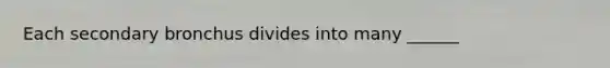 Each secondary bronchus divides into many ______