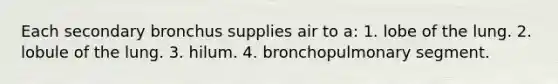 Each secondary bronchus supplies air to a: 1. lobe of the lung. 2. lobule of the lung. 3. hilum. 4. bronchopulmonary segment.