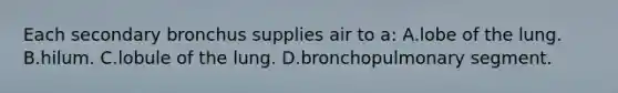 Each secondary bronchus supplies air to a: A.lobe of the lung. B.hilum. C.lobule of the lung. D.bronchopulmonary segment.