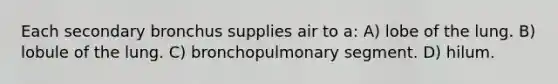 Each secondary bronchus supplies air to a: A) lobe of the lung. B) lobule of the lung. C) bronchopulmonary segment. D) hilum.