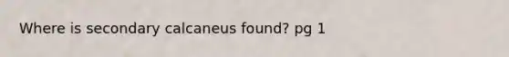 Where is secondary calcaneus found? pg 1