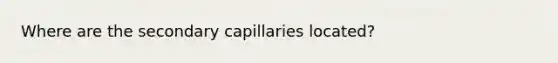 Where are the secondary capillaries located?