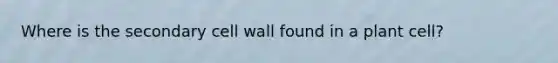 Where is the secondary cell wall found in a plant cell?