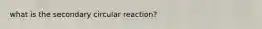 what is the secondary circular reaction?