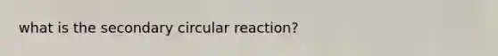 what is the secondary circular reaction?