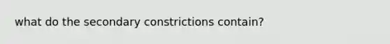 what do the secondary constrictions contain?