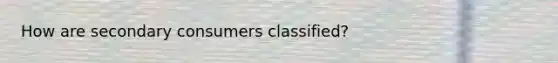 How are secondary consumers classified?