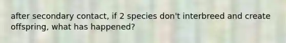 after secondary contact, if 2 species don't interbreed and create offspring, what has happened?