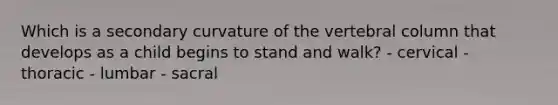 Which is a secondary curvature of the vertebral column that develops as a child begins to stand and walk? - cervical - thoracic - lumbar - sacral