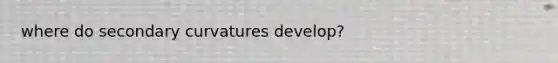 where do secondary curvatures develop?