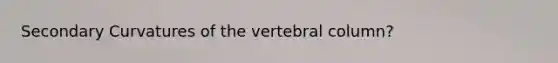 Secondary Curvatures of the <a href='https://www.questionai.com/knowledge/ki4fsP39zf-vertebral-column' class='anchor-knowledge'>vertebral column</a>?