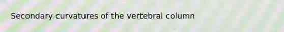 Secondary curvatures of the <a href='https://www.questionai.com/knowledge/ki4fsP39zf-vertebral-column' class='anchor-knowledge'>vertebral column</a>