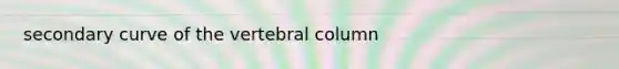 secondary curve of the <a href='https://www.questionai.com/knowledge/ki4fsP39zf-vertebral-column' class='anchor-knowledge'>vertebral column</a>