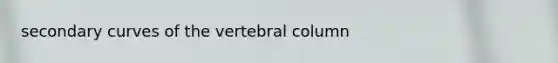 secondary curves of the <a href='https://www.questionai.com/knowledge/ki4fsP39zf-vertebral-column' class='anchor-knowledge'>vertebral column</a>