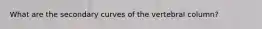 What are the secondary curves of the vertebral column?