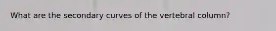 What are the secondary curves of the vertebral column?