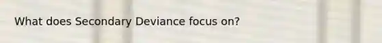 What does Secondary Deviance focus on?