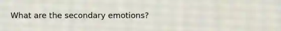 What are the secondary emotions?