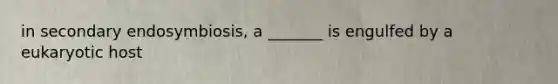 in secondary endosymbiosis, a _______ is engulfed by a eukaryotic host