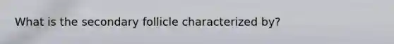 What is the secondary follicle characterized by?