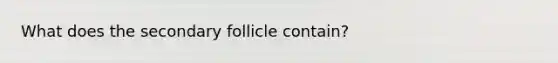 What does the secondary follicle contain?