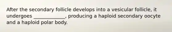 After the secondary follicle develops into a vesicular follicle, it undergoes _____________, producing a haploid secondary oocyte and a haploid polar body.