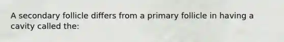 A secondary follicle differs from a primary follicle in having a cavity called the: