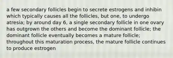 a few secondary follicles begin to secrete estrogens and inhibin which typically causes all the follicles, but one, to undergo atresia; by around day 6, a single secondary follicle in one ovary has outgrown the others and become the dominant follicle; the dominant follicle eventually becomes a mature follicle; throughout this maturation process, the mature follicle continues to produce estrogen