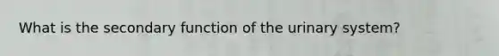 What is the secondary function of the urinary system?