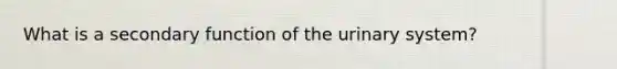 What is a secondary function of the urinary system?