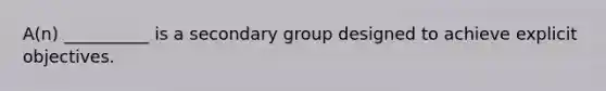 A(n) __________ is a secondary group designed to achieve explicit objectives.