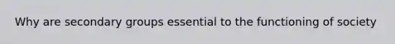 Why are secondary groups essential to the functioning of society