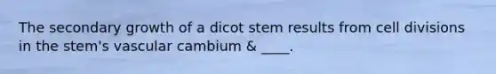 The secondary growth of a dicot stem results from <a href='https://www.questionai.com/knowledge/kjHVAH8Me4-cell-division' class='anchor-knowledge'>cell division</a>s in the stem's vascular cambium & ____.