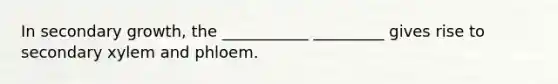 In secondary growth, the ___________ _________ gives rise to secondary xylem and phloem.