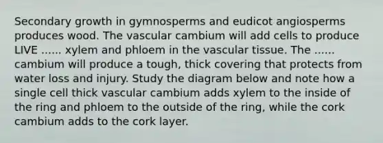 Secondary growth in gymnosperms and eudicot angiosperms produces wood. The vascular cambium will add cells to produce LIVE ...... xylem and phloem in the vascular tissue. The ...... cambium will produce a tough, thick covering that protects from water loss and injury. Study the diagram below and note how a single cell thick vascular cambium adds xylem to the inside of the ring and phloem to the outside of the ring, while the cork cambium adds to the cork layer.