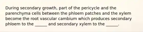 During secondary growth, part of the pericycle and the parenchyma cells between the phloem patches and the xylem become the root vascular cambium which produces secondary phloem to the ______ and secondary xylem to the ______.