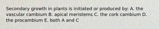 Secondary growth in plants is initiated or produced by: A. the vascular cambium B. apical meristems C. the cork cambium D. the procambium E. both A and C