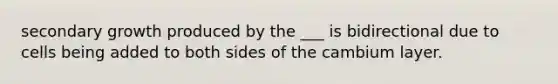 secondary growth produced by the ___ is bidirectional due to cells being added to both sides of the cambium layer.