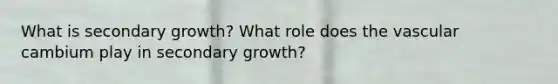 What is secondary growth? What role does the vascular cambium play in secondary growth?