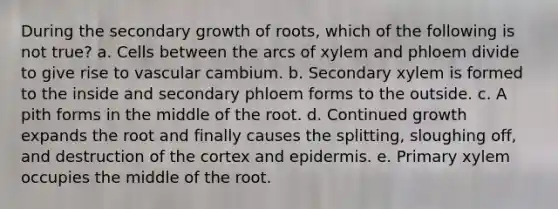 During the secondary growth of roots, which of the following is not true? a. Cells between the arcs of xylem and phloem divide to give rise to vascular cambium. b. Secondary xylem is formed to the inside and secondary phloem forms to the outside. c. A pith forms in the middle of the root. d. Continued growth expands the root and finally causes the splitting, sloughing off, and destruction of the cortex and epidermis. e. Primary xylem occupies the middle of the root.