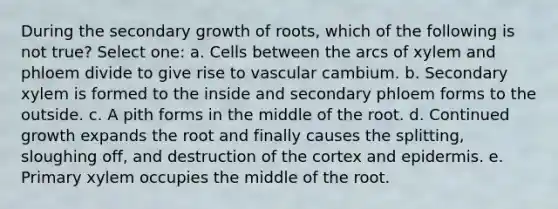 During the secondary growth of roots, which of the following is not true? Select one: a. Cells between the arcs of xylem and phloem divide to give rise to vascular cambium. b. Secondary xylem is formed to the inside and secondary phloem forms to the outside. c. A pith forms in the middle of the root. d. Continued growth expands the root and finally causes the splitting, sloughing off, and destruction of the cortex and epidermis. e. Primary xylem occupies the middle of the root.