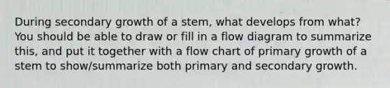 During secondary growth of a stem, what develops from what? You should be able to draw or fill in a flow diagram to summarize this, and put it together with a flow chart of primary growth of a stem to show/summarize both primary and secondary growth.