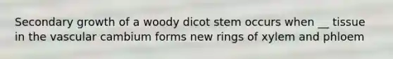 Secondary growth of a woody dicot stem occurs when __ tissue in the vascular cambium forms new rings of xylem and phloem