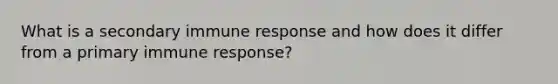 What is a secondary immune response and how does it differ from a primary immune response?