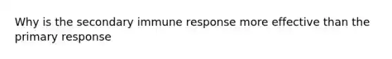 Why is the secondary immune response more effective than the primary response