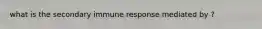 what is the secondary immune response mediated by ?