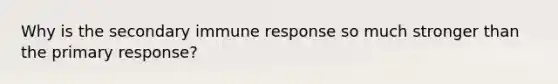 Why is the secondary immune response so much stronger than the primary response?