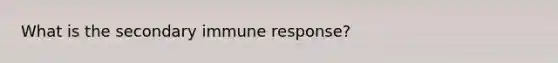 What is the secondary immune response?